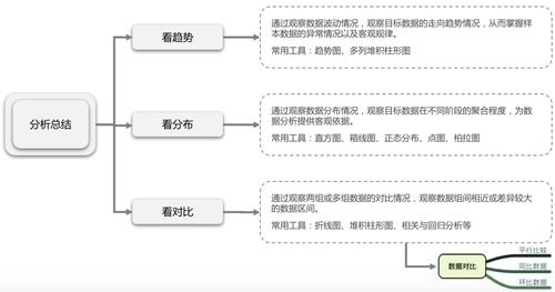 产品经理的基石 掌握数据分析与软件开发协同之道